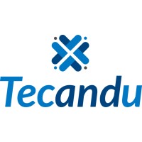 Tecandu logo - Similar company to Smart Business Projects