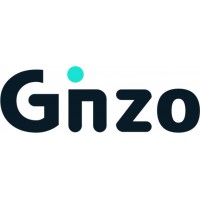 Ginzo Technologies logo - Similar company to Terabyte 2003
