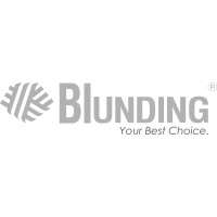 Blunding logo - Similar company to Salfaing L.T.D.A