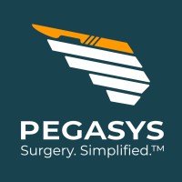 Pegasys Medical logo - Similar company to Pegasys Technologies