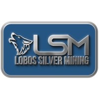 Lobos Silver Mining, S. de R.L. de C.V. logo - Similar company to Dynaresource, Inc.
