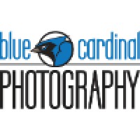 Blue Cardinal Photography