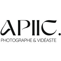 Apiic logo - Similar company to Api Center