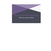 Triumph Business Consultancy Ltd logo - Similar company to 20Eleven