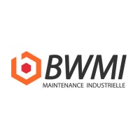 BWMI logo - Similar company to Flertex