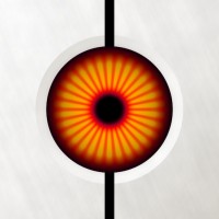 Sentry Brain logo - Similar company to Khyria