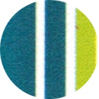 Anubhav Chopra CPA P.C. & Associates logo - Similar company to Finxtreme - Small Business Accounting And Tax Preparation