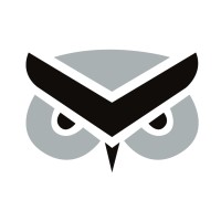 Logical Owl logo - Similar company to Logical Storm