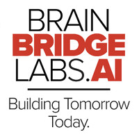 Brain Bridge Ai