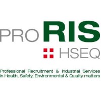 proRIS HSEQ logo - Similar company to Analyze Hse Gmbh