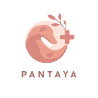 PANTAYA logo - Similar company to Scharp - Southern California Health & Rehabilitation Program