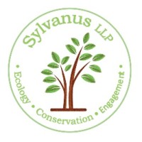 Sylvanus Llp logo - Similar company to Sylvanus Technologies
