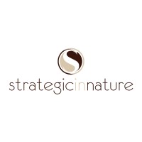 Strategic In Nature