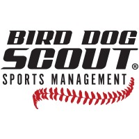 Bird Dog Scout Llc