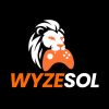 WyzeSol logo - Similar company to Techwrath