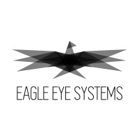 Eagle Eye Systems Asia Limited logo - Similar company to Executeam Usa