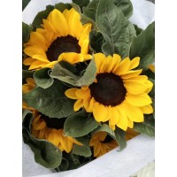 Shijiazhuang Shounuo Technology Co. LTD logo - Similar company to Junen Enterprise Corporation 久恩企業