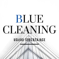 Blue Cleaning logo - Similar company to Vip Security System