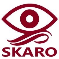 Skaro Servizi Ambientali logo - Similar company to Servizi Ambientali