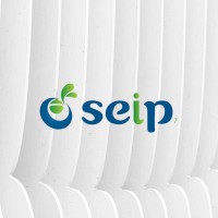 SEIP 7 Tecnologia logo - Similar company to Seip