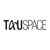 TAUSPACE logo - Similar company to Bizzamm
