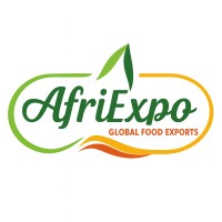 AfriExpo logo - Similar company to Karoo Group