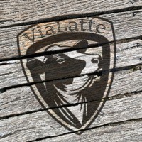 ViaLatte logo - Similar company to Polak W Tropikach