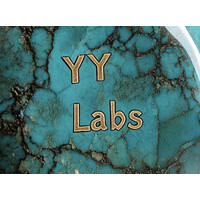 YY labs logo - Similar company to Silicon Dynamix