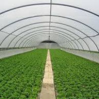 Agricultura Web logo - Similar company to Amcou Web Design