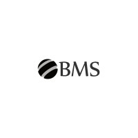 BMS Softwares logo - Similar company to Prodfy