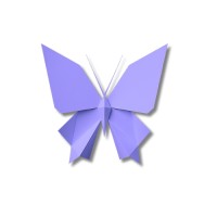 The Chaos AI logo - Similar company to Farda.