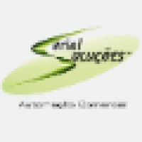 Serial Soluções Automação Comercial logo - Similar company to Infossystem