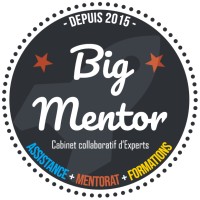 BigMentor logo - Similar company to Sofades