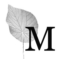 Macaranga Media logo - Similar company to Katheti