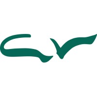 CV-GRUPO logo - Similar company to Gsraw