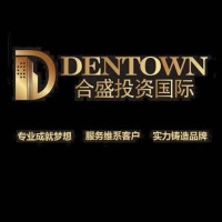 DENTOWN合盛投资国际 logo - Similar company to Top Catz