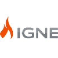 Igne Inteligência Digital
