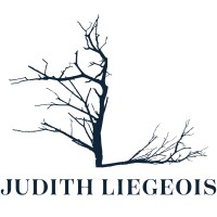 Judith Liegeois Designs logo - Similar company to Carson'S