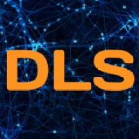 DLS-IT logo - Similar company to Black Buff