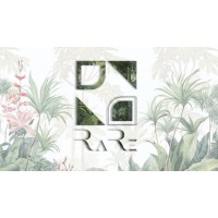 Ra.Re Design Studio logo - Similar company to Eternal Frames Architecture Studio