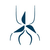 WINDSPIDER logo - Similar company to Subshore Lithuania