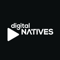 Digital Natives Algeria logo - Similar company to Apex Conseils