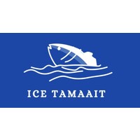 ICE logo - Similar company to Vem Systems
