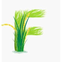 Fhasal logo - Similar company to Futurehive Systems
