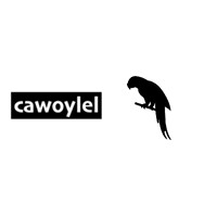 Cawoylel logo - Similar company to Soynade Research