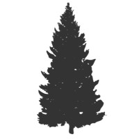 Northwoods Project logo - Similar company to Karan Investment Partners