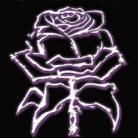 Rose 13 Creative