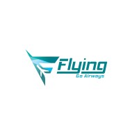 FLYING GO AIRWAYS TRAVELS PRIVATE LIMITED logo - Similar company to Go Fly