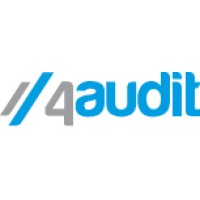 4 AUDIT SRL logo - Similar company to Re.Bi.S. Srl