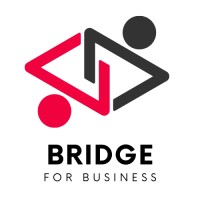 Bridge for business logo - Similar company to Delix